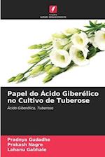 Papel do Ácido Giberélico no Cultivo de Tuberose