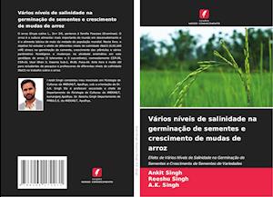 Vários níveis de salinidade na germinação de sementes e crescimento de mudas de arroz