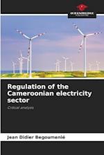 Regulation of the Cameroonian electricity sector