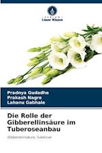 Die Rolle der Gibberellinsäure im Tuberoseanbau