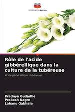 Rôle de l'acide gibbérellique dans la culture de la tubéreuse