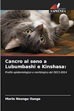 Cancro al seno a Lubumbashi e Kinshasa: