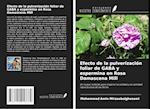 Efecto de la pulverización foliar de GABA y espermina en Rosa Damascena Mill