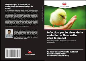 Infection par le virus de la maladie de Newcastle chez le poulet