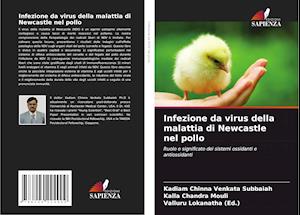 Infezione da virus della malattia di Newcastle nel pollo