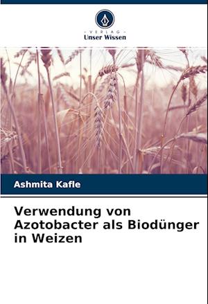 Verwendung von Azotobacter als Biodünger in Weizen