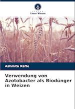 Verwendung von Azotobacter als Biodünger in Weizen