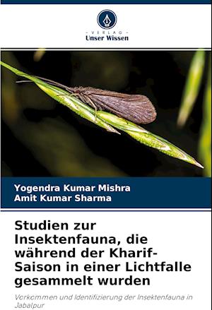 Studien zur Insektenfauna, die während der Kharif-Saison in einer Lichtfalle gesammelt wurden