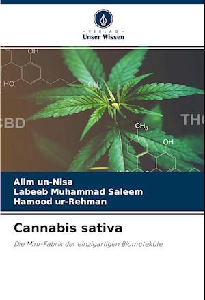 Cannabis sativa