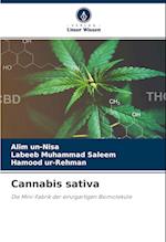 Cannabis sativa