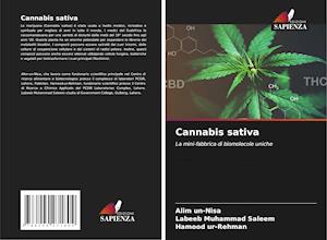 Cannabis sativa