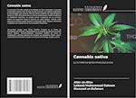 Cannabis sativa