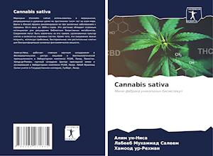 Cannabis sativa