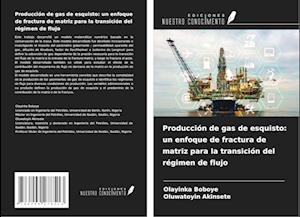 Producción de gas de esquisto: un enfoque de fractura de matriz para la transición del régimen de flujo