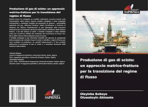 Produzione di gas di scisto: un approccio matrice-frattura per la transizione del regime di flusso