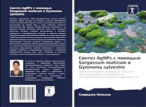 Sintez AgNPs s pomosch'ü Sargassum muticum i Gymnema sylvestre