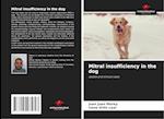 Mitral insufficiency in the dog