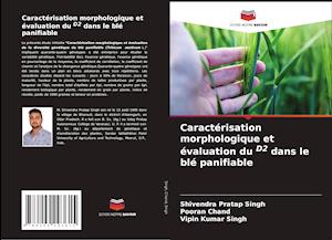 Caractérisation morphologique et évaluation du D2 dans le blé panifiable