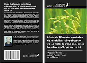 Efecto de diferentes moléculas de herbicidas sobre el control de las malas hierbas en el arroz trasplantado(Oryza sativa L.)