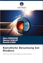 Künstliche Besamung bei Rindern