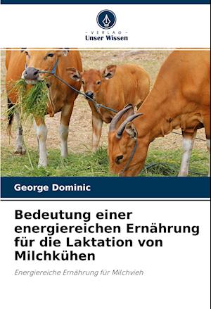 Bedeutung einer energiereichen Ernährung für die Laktation von Milchkühen