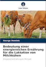 Bedeutung einer energiereichen Ernährung für die Laktation von Milchkühen