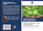 Psidium guajava L. (der Guavenbaum) Nanoemulsion Larvizid