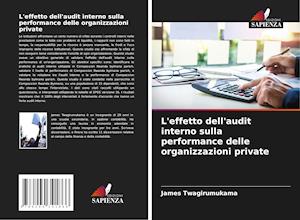 L'effetto dell'audit interno sulla performance delle organizzazioni private