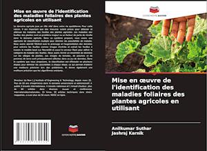 Mise en oeuvre de l'identification des maladies foliaires des plantes agricoles en utilisant