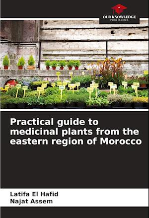 Practical guide to medicinal plants from the eastern region of Morocco