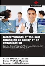 Determinants of the self-financing capacity of an organization