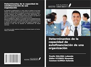 Determinantes de la capacidad de autofinanciación de una organización