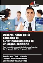 Determinanti della capacità di autofinanziamento di un'organizzazione