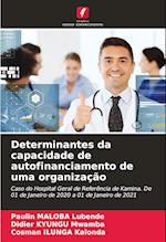 Determinantes da capacidade de autofinanciamento de uma organização