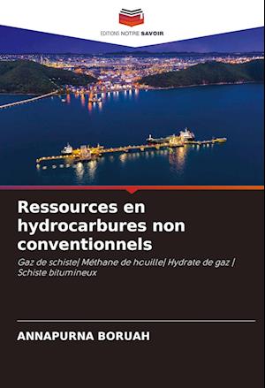 Ressources en hydrocarbures non conventionnels