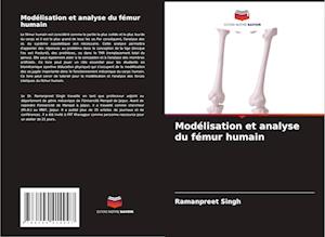 Modélisation et analyse du fémur humain