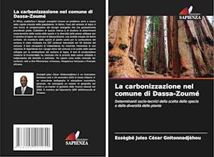 La carbonizzazione nel comune di Dassa-Zoumé