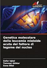 Genetica molecolare della leucemia mieloide acuta del fattore di legame del nucleo