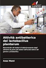 Attività antibatterica del lactobacillus plantarum