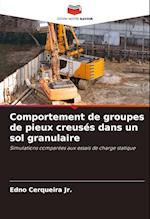 Comportement de groupes de pieux creusés dans un sol granulaire