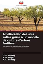 Amélioration des sols salins grâce à un modèle de culture d'arbres fruitiers