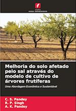 Melhoria do solo afetado pelo sal através do modelo de cultivo de árvores frutíferas
