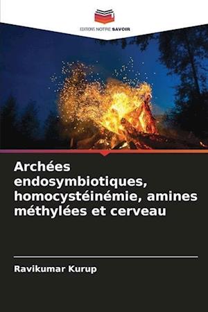 Archées endosymbiotiques, homocystéinémie, amines méthylées et cerveau