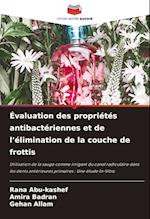 Évaluation des propriétés antibactériennes et de l'élimination de la couche de frottis