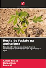 Rocha de fosfato na agricultura