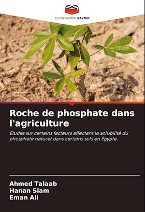 Roche de phosphate dans l'agriculture