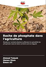 Roche de phosphate dans l'agriculture