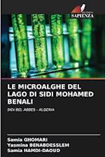 LE MICROALGHE DEL LAGO DI SIDI MOHAMED BENALI