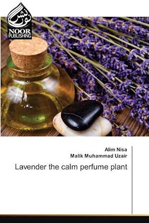 Lavender the calm perfume plant
