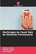 Morfologia do Canal Raiz da Dentição Permanente